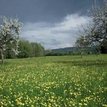 Apartman Eschachtal Oase Leutkirch im Allgäu